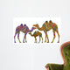 Ethnic Camels