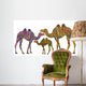 Ethnic Camels