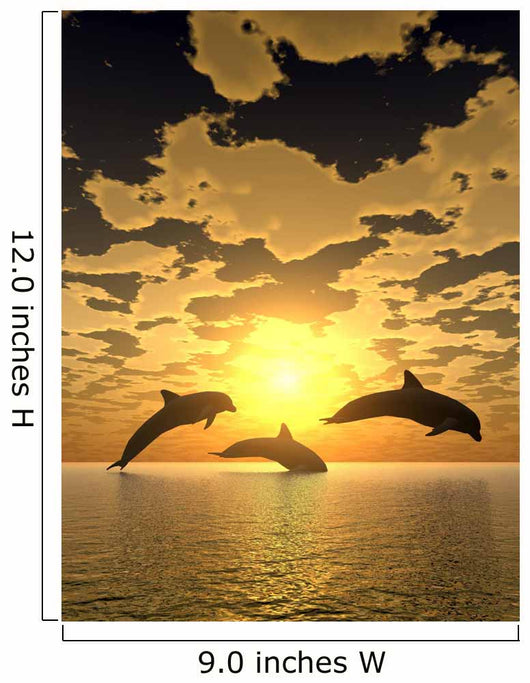 dolphin yellow sunset Wall Mural