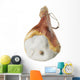Parma ham Wall Decal