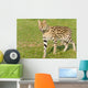 Serval