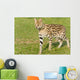 Serval