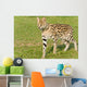 Serval