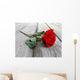 Rose on Wood Wall Mural