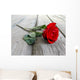 Rose on Wood Wall Mural