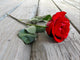 Rose on Wood Wall Mural