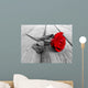Rose on Wood Bw Wall Mural