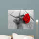 Rose on Wood Bw Wall Mural