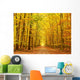 Pathway in the autumn park Wall Mural