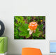 Close-up of an arctic cloudberry on an undergrowth background Wall Mural