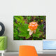 Close-up of an arctic cloudberry on an undergrowth background Wall Mural