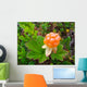 Close-up of an arctic cloudberry on an undergrowth background Wall Mural