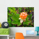Close-up of an arctic cloudberry on an undergrowth background Wall Mural