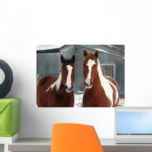 On the Ranch Wall Mural