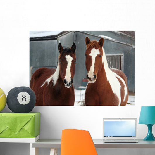 On the Ranch Wall Mural