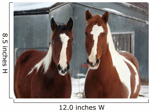 On the Ranch Wall Mural