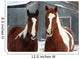 On the Ranch Wall Mural