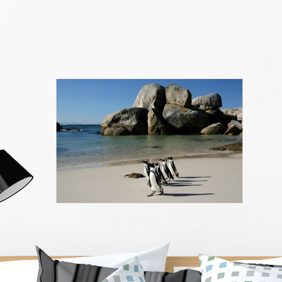 African Penguins Boulders Wall Mural shown on a wall