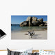 African Penguins at Boulders Wall Mural