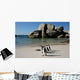 African Penguins at Boulders Wall Mural