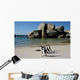 African Penguins at Boulders Wall Mural