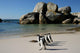 African Penguins at Boulders Wall Mural