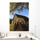Autumn landscape with barn and goat Wall Mural