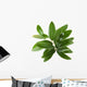 Olive branch isolated on the white Wall Decal