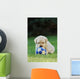 Labrador Retriever Puppy Playing Football Soccer Wall Mural