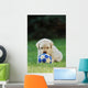 Labrador Retriever Puppy Playing Football Soccer Wall Mural