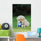 Labrador Retriever Puppy Playing Football Soccer Wall Mural