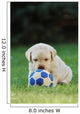 Labrador Retriever Puppy Playing Football Soccer Wall Mural