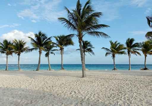 Plage Du Barcelo Wall Decal
