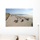 Sylt-2006-03 Wall Decal