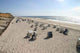 Sylt-2006-03 Wall Decal