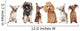 Group Young Dogs