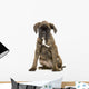 Chiot Boxer Wall Decal