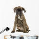Chiot Boxer Wall Decal
