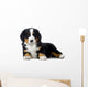 Puppy Bernese Mountain Dog Wall Decal