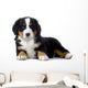 Puppy Bernese Mountain Dog Wall Decal