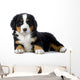 Puppy Bernese Mountain Dog Wall Decal