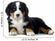Puppy Bernese Mountain Dog Wall Decal