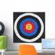 well worn target Wall Mural