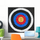 well worn target Wall Mural