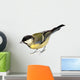 Great Tit Parus Major Wall Decal