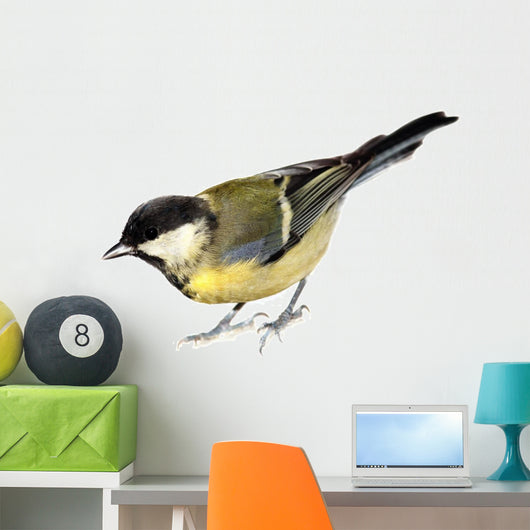 Great Tit Parus Major Wall Decal