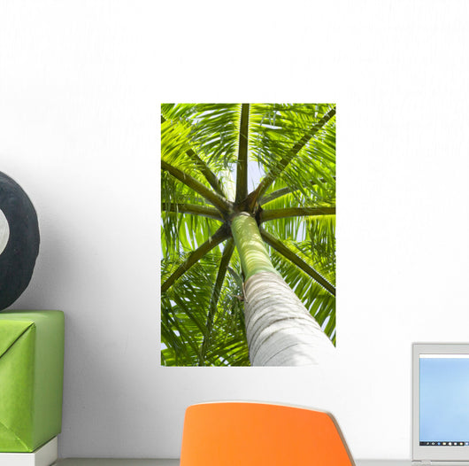 palm tree Wall Mural