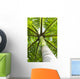 palm tree Wall Mural