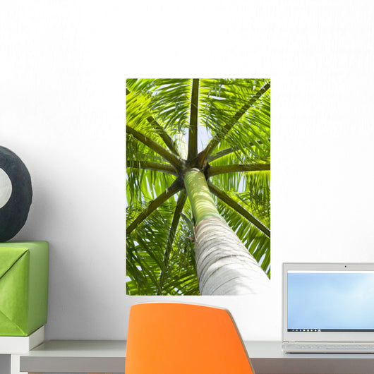 palm tree Wall Mural