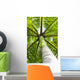 palm tree Wall Mural